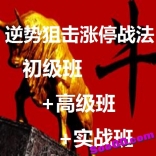 逆势狙击涨停战法（初级班+高级班+实战班）全套完整版