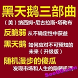 vff2----黑天鹅三部曲：反脆弱 + 黑天鹅 + 随机漫步的傻瓜  （美）纳西姆·尼古拉斯·塔勒布