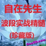 自在先生波段实战精髓珍藏版