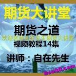自在先生期货大讲堂期货之道视频教程14集