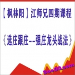 枫林阳江宇龙江师兄四期课程《选庄跟庄--强庄龙头战法基训班》+全套通达信指标