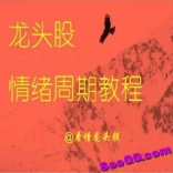 看懂龙头股复盘哥龙头股情绪周期教程