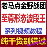 vfdd----老马点金野战团至尊形态波段王系列视频教程