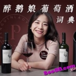 醉鹅娘葡萄酒词典：帮你实现小白到内行的华丽转身，构建自己的葡萄酒世界。