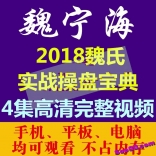vfbg----魏宁海2018年魏氏实战操盘宝典股票视频课程