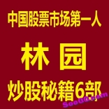 中国股票市场第一人林园炒股秘籍6部