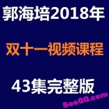 vffq----郭海培2018年双11课43集视频课程完整版