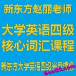 va16----新东方赵丽大学英语四级核心词汇课程