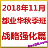 都业华秋季班2018年12月战略强化篇高级视频课程