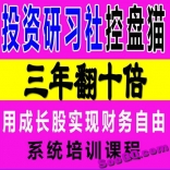 vfbs----思多金投资研习社控盘猫三年十倍用成长股实现财富自由视频教程