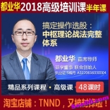 预售中----都业华2018年高级培训课半年课中枢理论战法必学篇共48小时