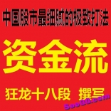vfb1----狂龙十八段中国股市最细腻的极致打法《资金流》书