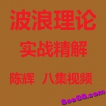 陈辉--波浪理论实战精解 八集视频