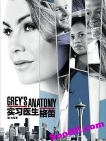 vecq---实习医生格蕾---- Grey's Anatomy ----全1-13季
