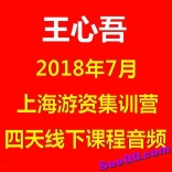 vff0----王心吾2018年7月上海游资集训营四天线下课程音频