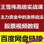 王雪伟高级实战课主力资金中的涨停战法视频教程共4讲