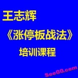 vfcm----王志辉《涨停板战法》培训课程