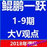 淘股吧鲲鹏一跃《大V观点》1-9期合集打包