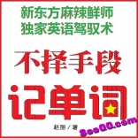 免费赠送----va19----《不择手段记单词》新东方 赵丽PDF电子书