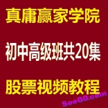 真庸赢家学院股票视频教程初中高级班共20集
