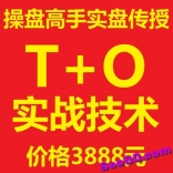 炒股高手实盘亲授高效T+0战法包含完整超短线交易系统