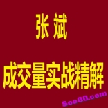 vf9m----张斌成交量实战精解5集视频