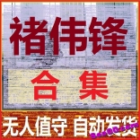 禇伟锋合集--最新：2017年6-7月主题博弈进阶班已完结
