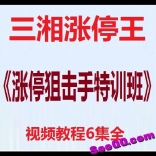 三湘涨停王《涨停狙击手特训班》视频教程6集全