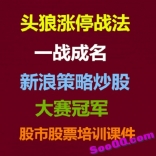vf9y----头狼涨停战法一战成名新浪策略炒股大赛冠军培训课件