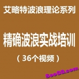 精确波浪实战培训（71个视频）