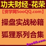 花荣操盘实战秘籍狐狸系列合集