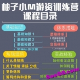 柚子小M游资训练营（视频+课件+通达信指标）