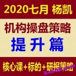 杨凯2020年7月 《机构操盘策略－提升篇》 提升班高级课实战法