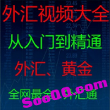 免费赠送----vf2m----外汇黄金现货炒汇炒股视频教程大全集从零到精通波浪理论初中高级