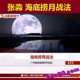 vf5x----张淼2015年海底捞月战法