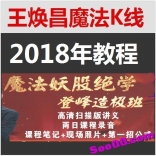 vffe----王焕昌2018年魔法妖股绝学登峰造极班高级课视频7集+第一招指标（通达信）