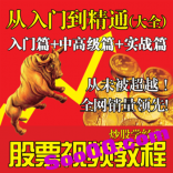 免费赠送----【vf22】炒股视频教程 新手炒股软件技术培训 从0开始学炒股
