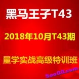 黑马王子2018年10月T43期北大博雅量波实战特训班视频+音频+文档全套
