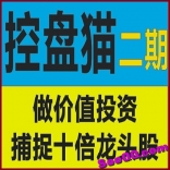 vfbr----思多金投资研习社控盘猫二期做价值投资捕捉十倍龙头股视频教程