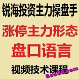 锐海投资主力操盘手涨停主力形态盘口语言视频技术课程