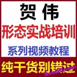 vfap----贺伟股票形态实战培训视频课程