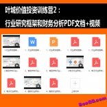叶城价值投资训练营2：行业研究框架和财务分析PDF文档+视频