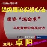 vfdy----卓阳《趋势理论实战心法》
