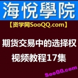 海悦学院期货交易中的选择权视频教程17集