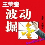 vf9i----王伟龙 波段点金 实战操盘技巧