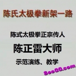 vfe6----陈正雷大师示范教学陈式太极拳新架一路八十三式教学视频