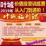 叶城2019年福利课价值投资训练营从入门到进阶视频+课件