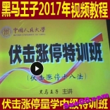 vfbk----黑马王子2017年伏击涨停量学中级班视频教程  赠王子老师一统天下看盘界面一套