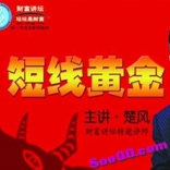 vf6d----楚风《短线黄金》炒股视频教程